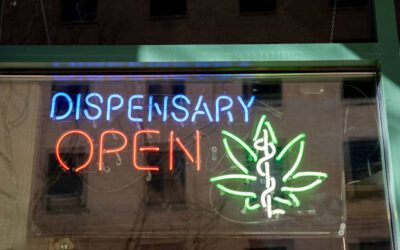 Cannabis Industry Updates