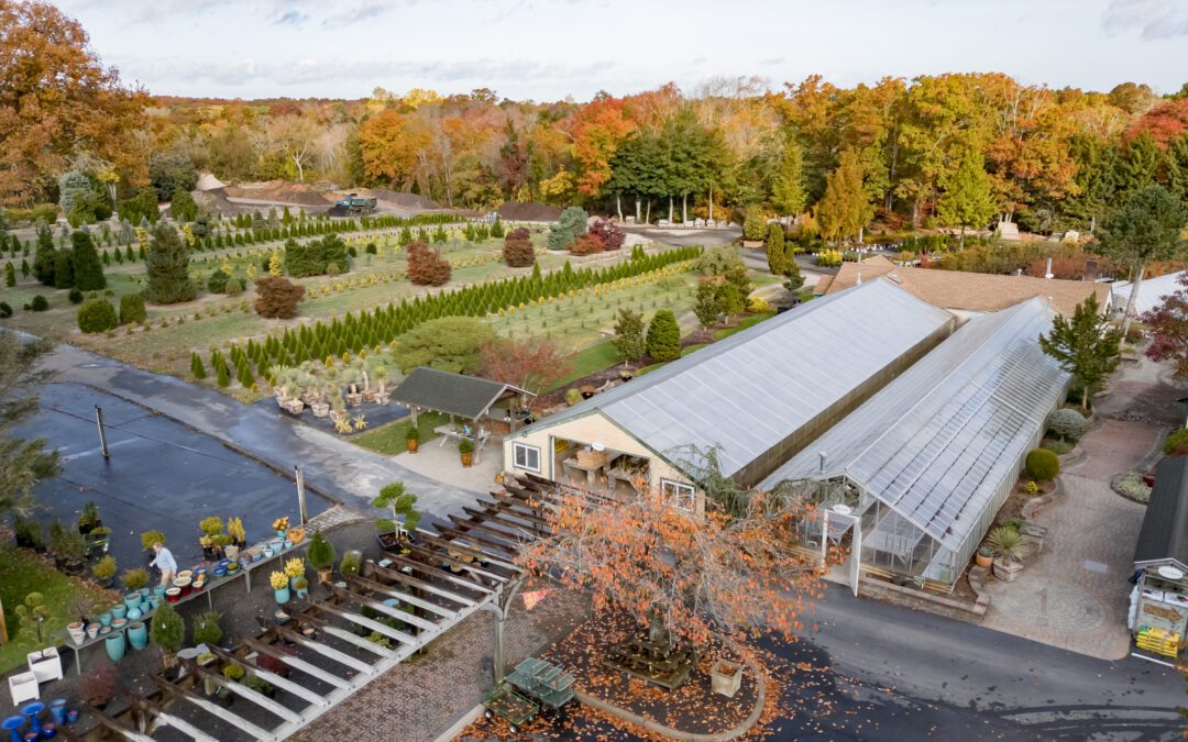 Client Spotlight: Bayview Garden Nurseries